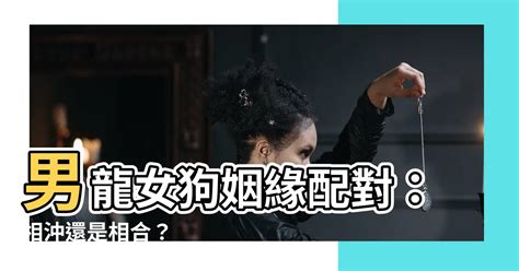 龍女狗男|【男龍女狗】男龍女狗姻緣配對：相沖還是相合？